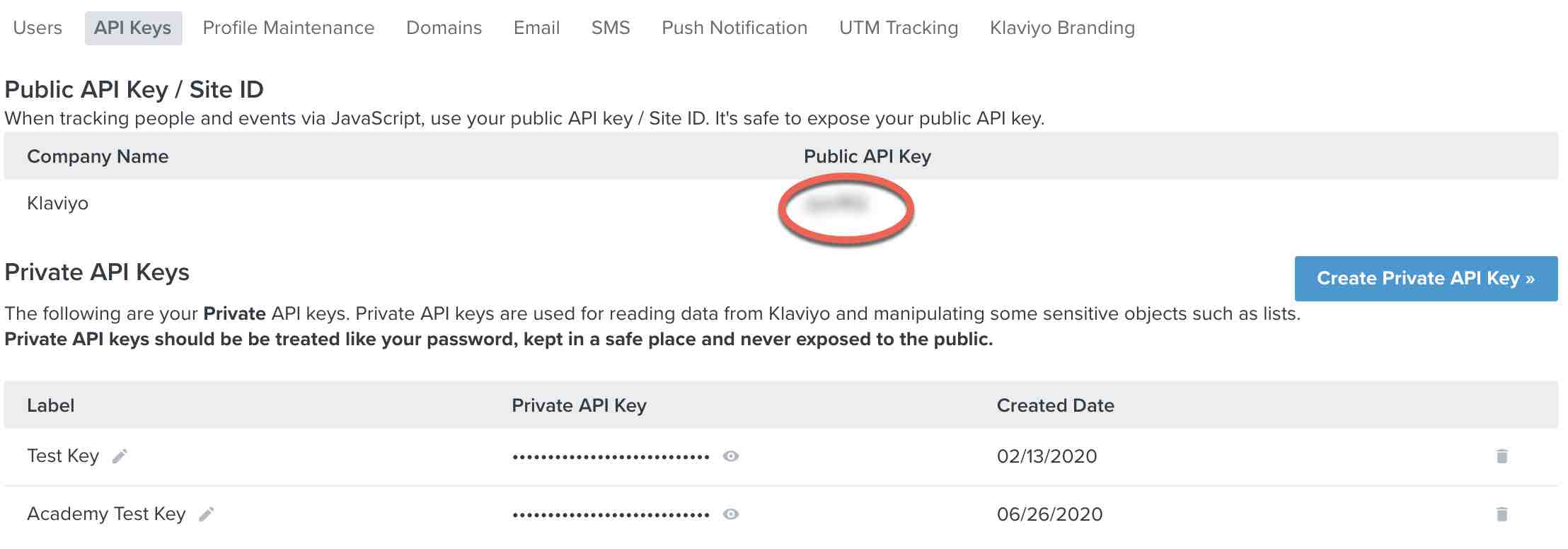API Keys page in Klaviyo with public API key blurred and circled in red