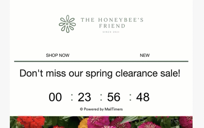 An example of a countdown timer in an email