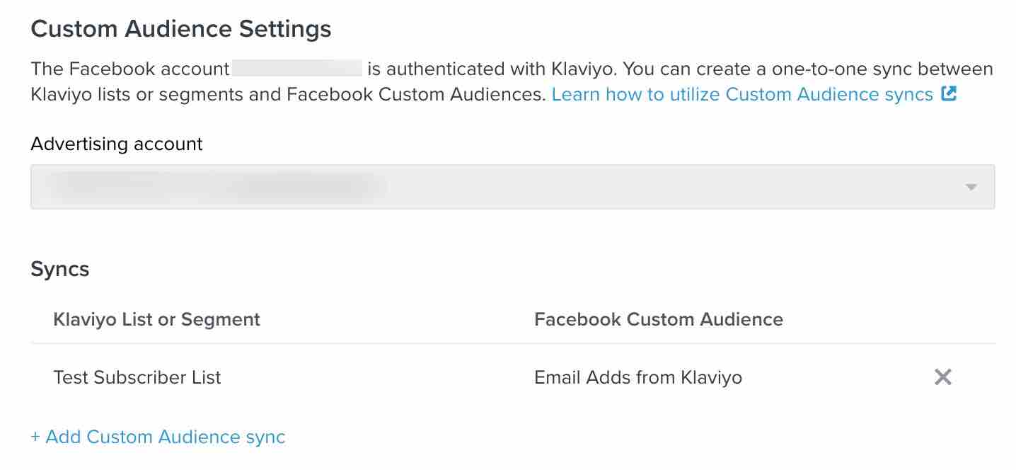 Custom audience settings page in Klaviyo with list of syncs