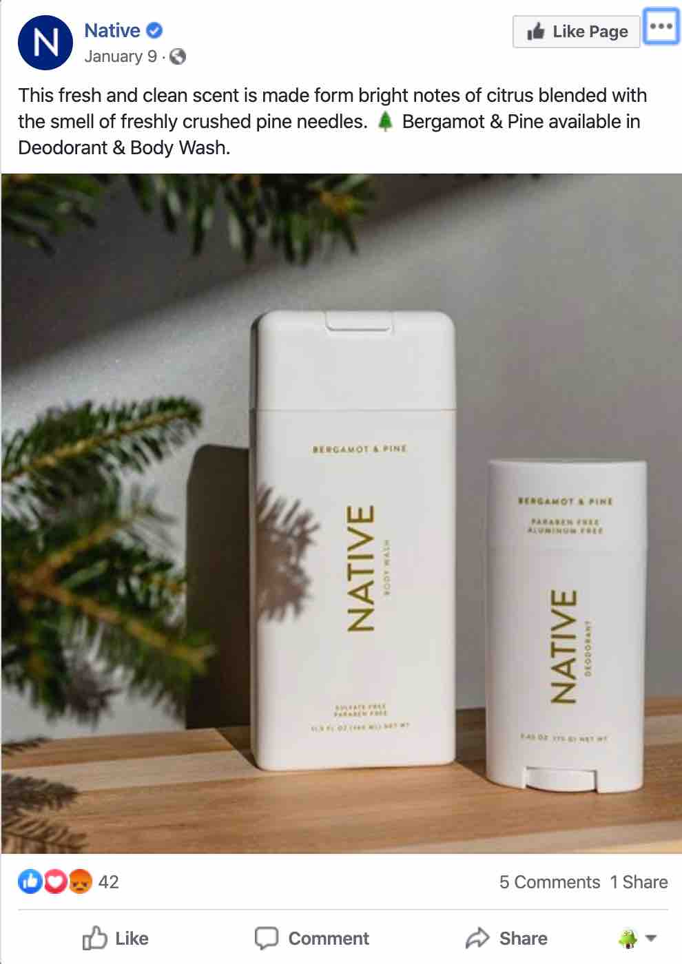 Facebook Ad for Native Deodorant with large picture of deodorant tube
