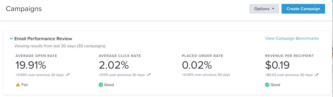 The campaign page with email performance metrics at the top of the page including average open rate, click rate, placed order rate, and revenue per recipient