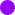 purple circle