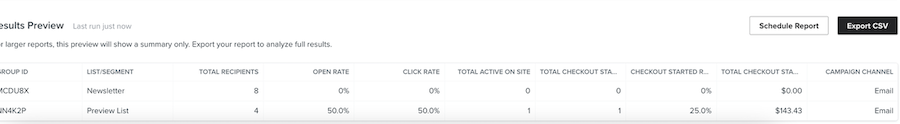 Preview of the data in a report that has chose the List/Segment checkbox