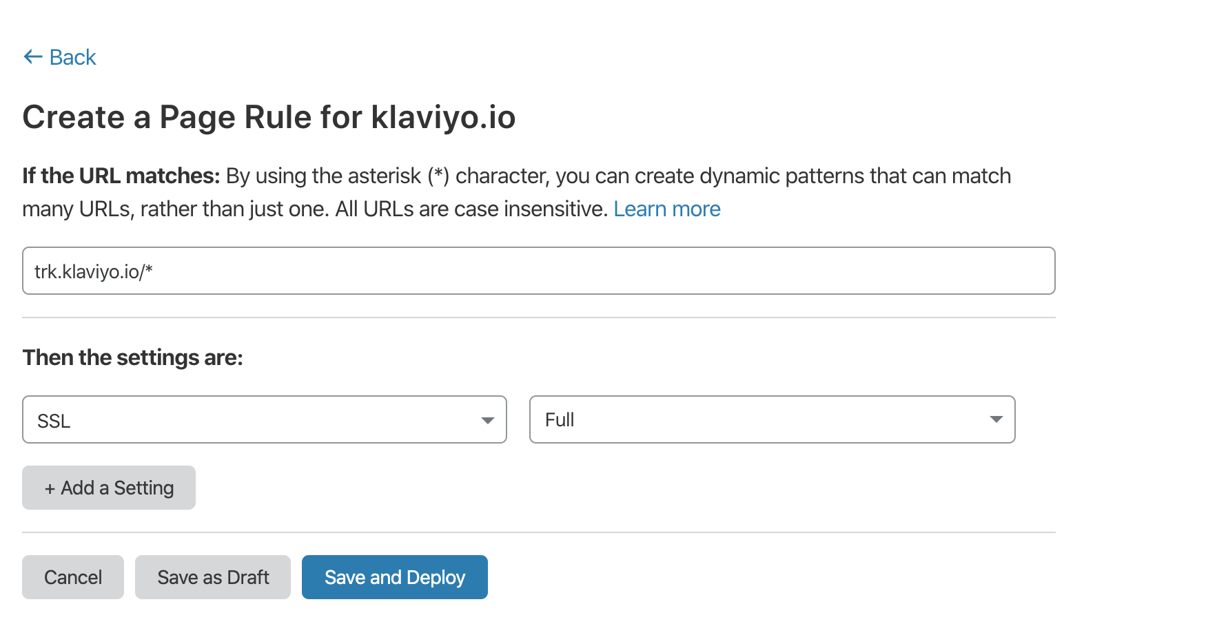 Create a page screen showing the URL field with trk.klaviyo.io/* and settings as SSL and Full