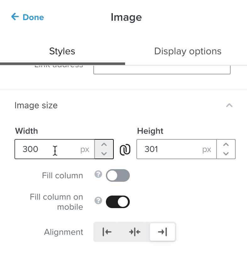 Panneau « Taille de l’image »