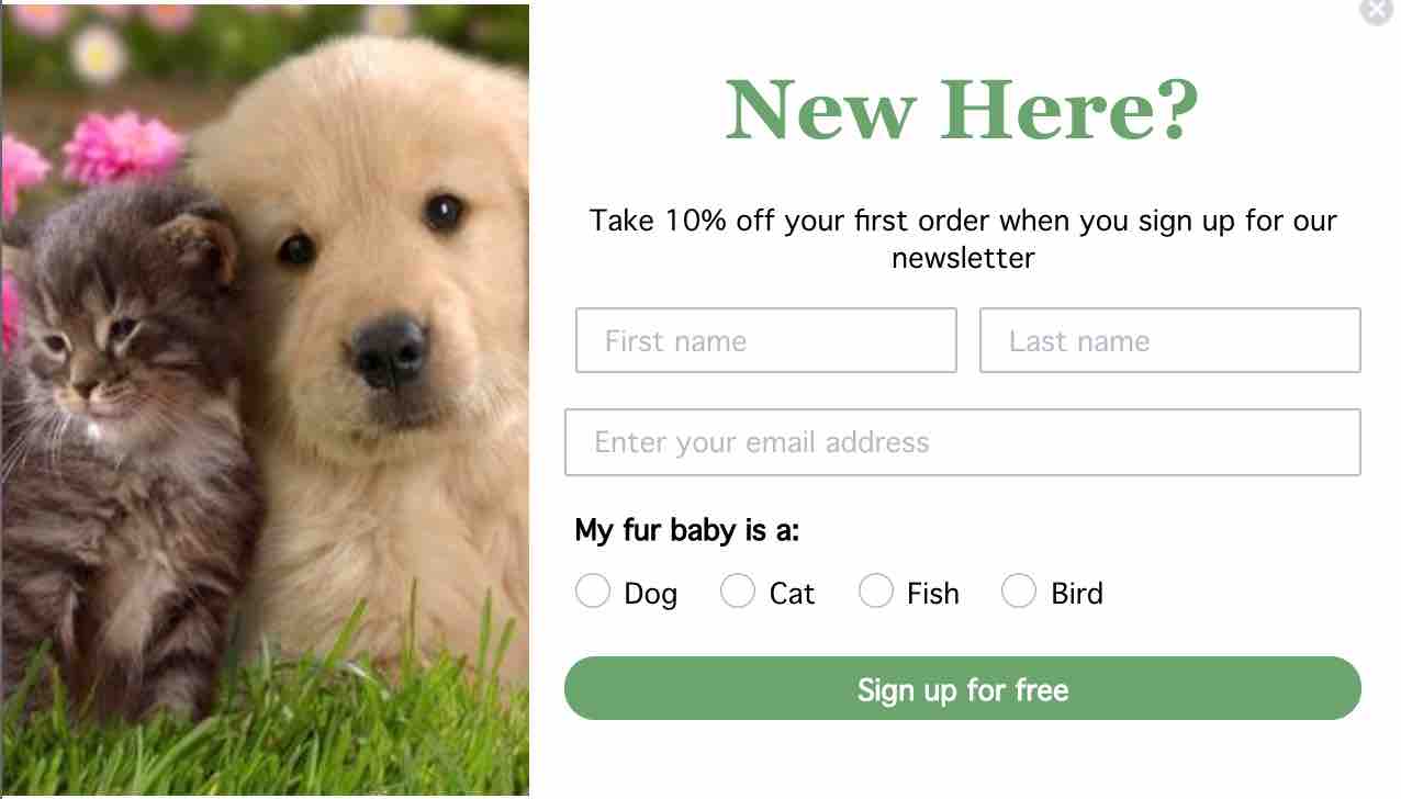 Signup form reading New here? with picture of puppy and kitten on left