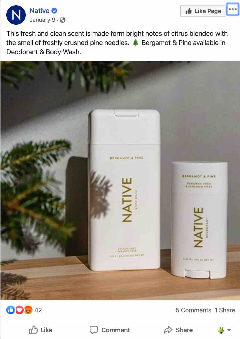 Annuncio su Facebook per il Deodorante Native con immagine grande del tubetto di deodorante