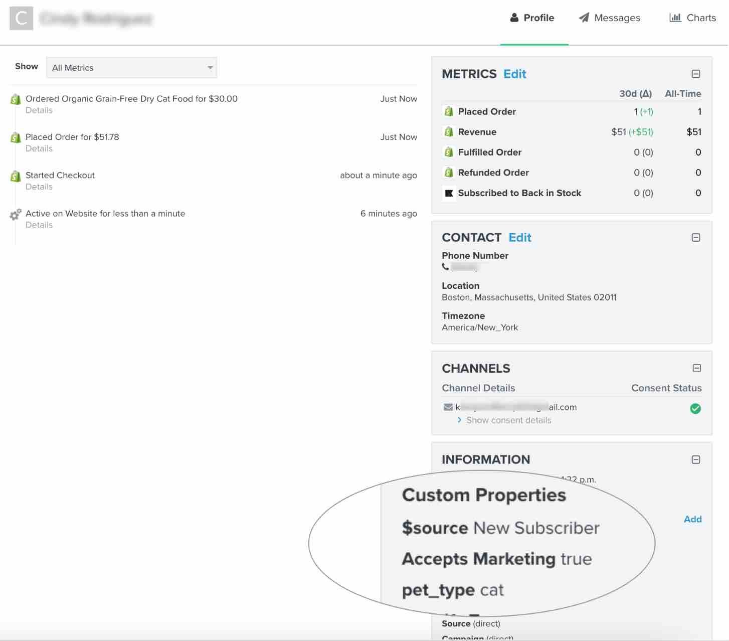 Profile in Klaviyo with custom properties section magnified