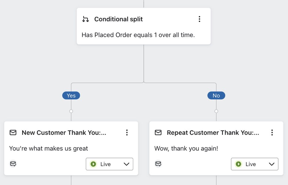 Example of a conditional split that checks 'Has Placed Order equals 1 over all time'