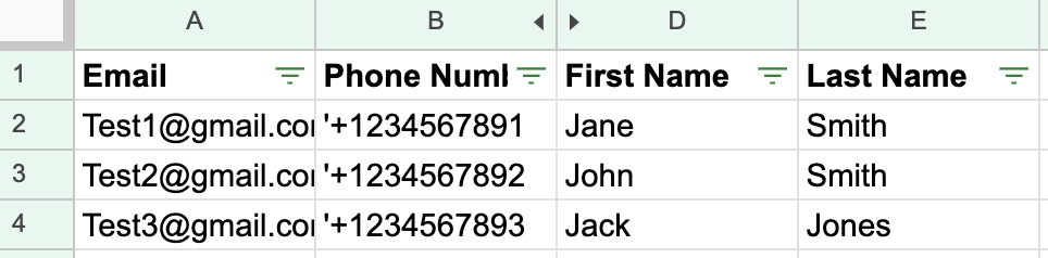 Example of a spreadsheet that has the correct formatting