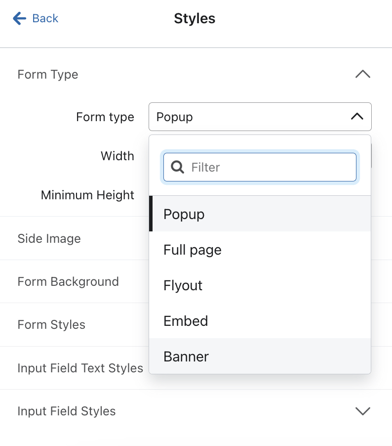 O menu suspenso Form types (Tipos de formulário) é aberto na guia Styles (Estilos) do editor de formulários.