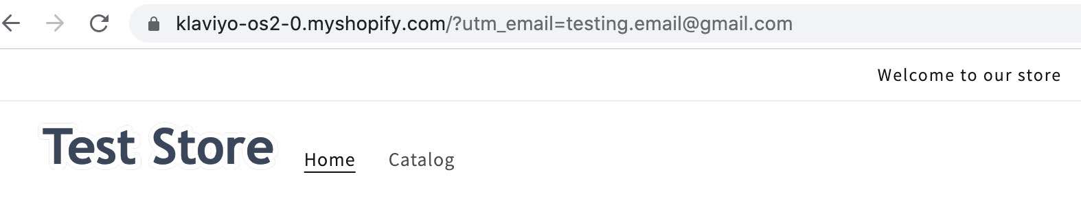 Shopify test store with ?utm_email=example@gmail.com appended to URL