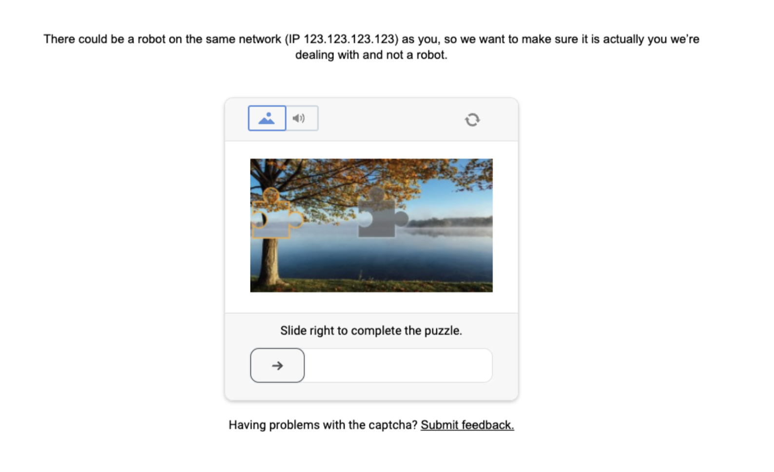 Example reCAPTCHA