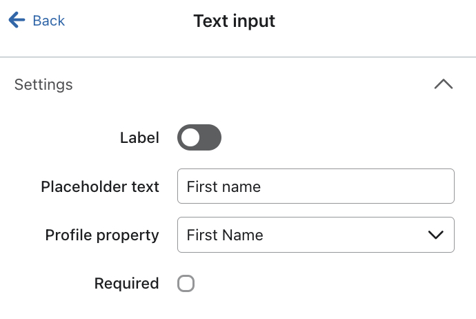 The Text input menu that appears when you add a text input field into a sign-up form in the form editor.