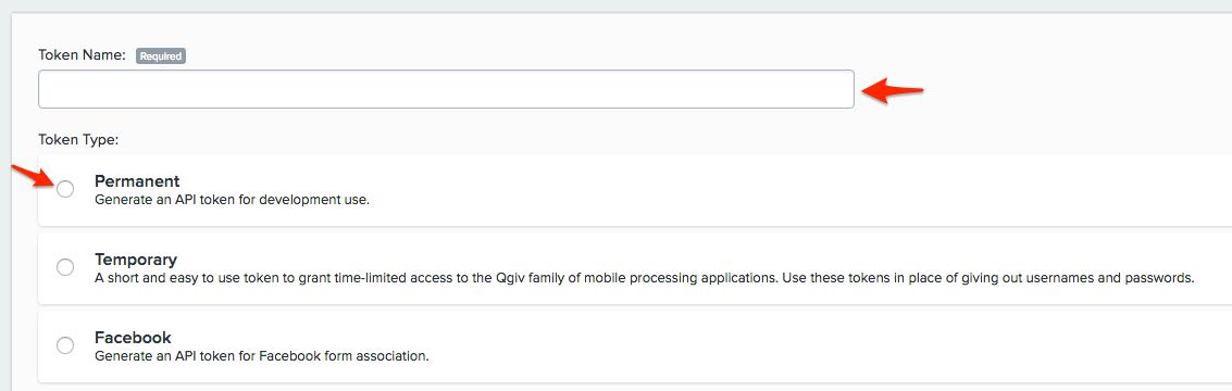 Token set up in Qgiv with red arrows pointing at token name box and permanent option