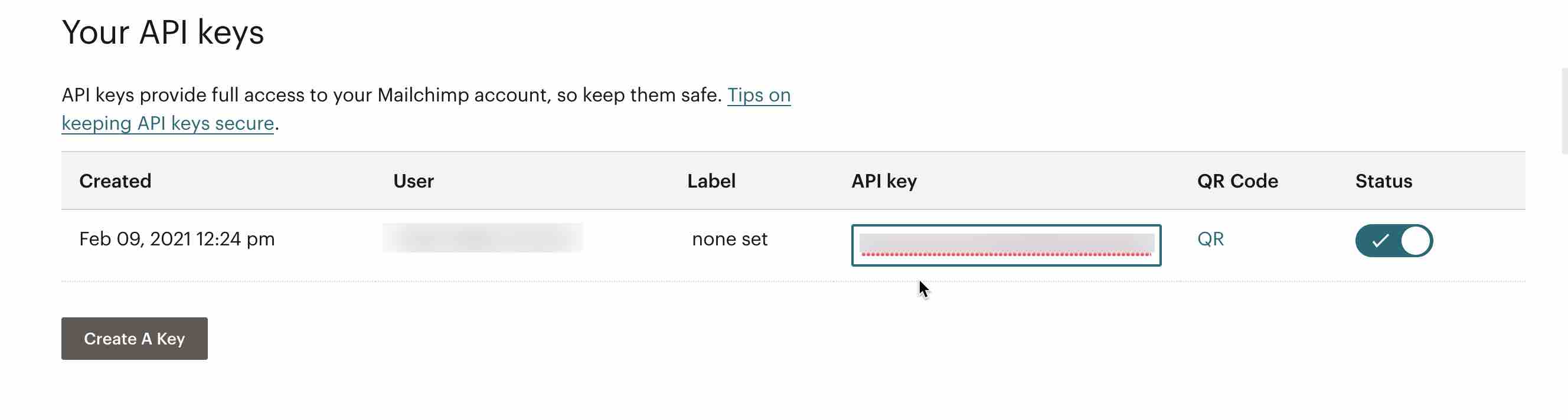 Clave de API de Mailchimp resaltada con nombres borrosos para copiarla en la integración de la plataforma Klaviyo.