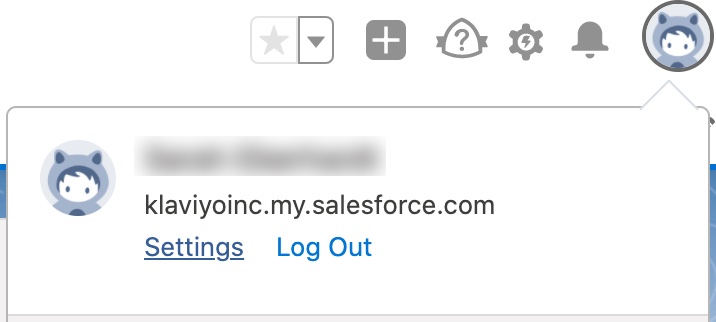 Il popup di Salesforce mostra le impostazioni e il logout in blu.