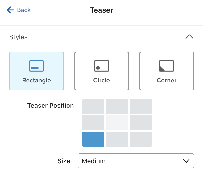 The Styles section for the form editor for an example sign-up form showing the teaser set to Rectangle in the bottom right corner and size Medium.