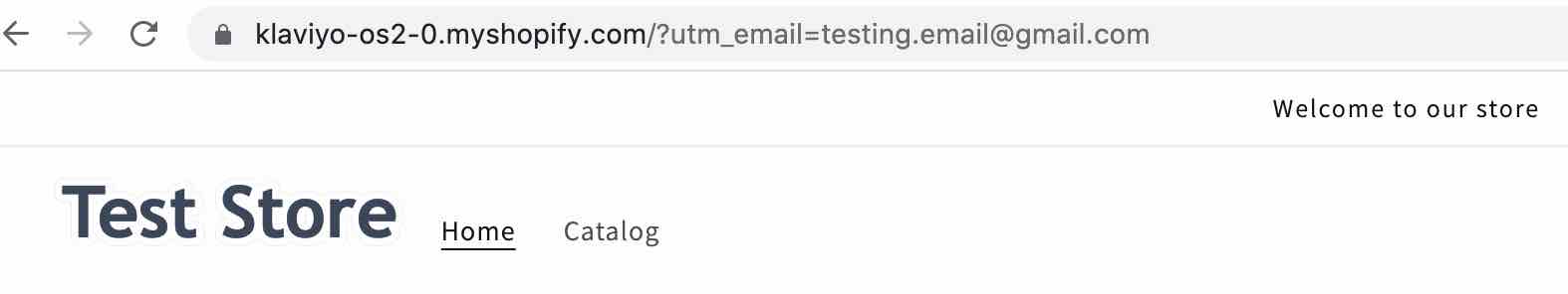 Test zaak in Shopify met ?utm_email=example@gmail.com gewijzigd in URL