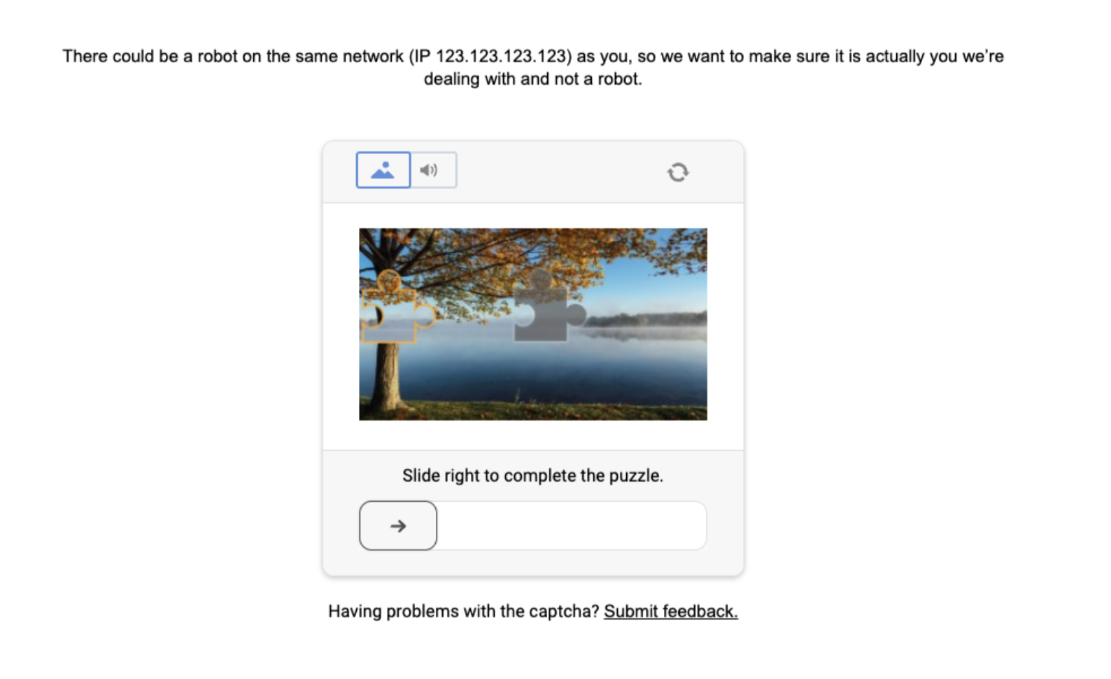 Voorbeeld reCAPTCHA