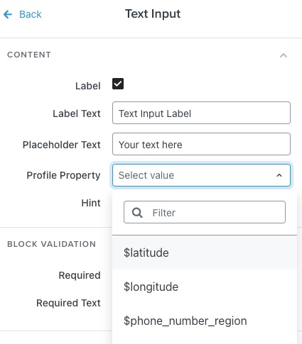 de profieleigenschappen dropdown menu opties van een datumveld toegevoegd aan het formulier