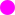 roze cirkel