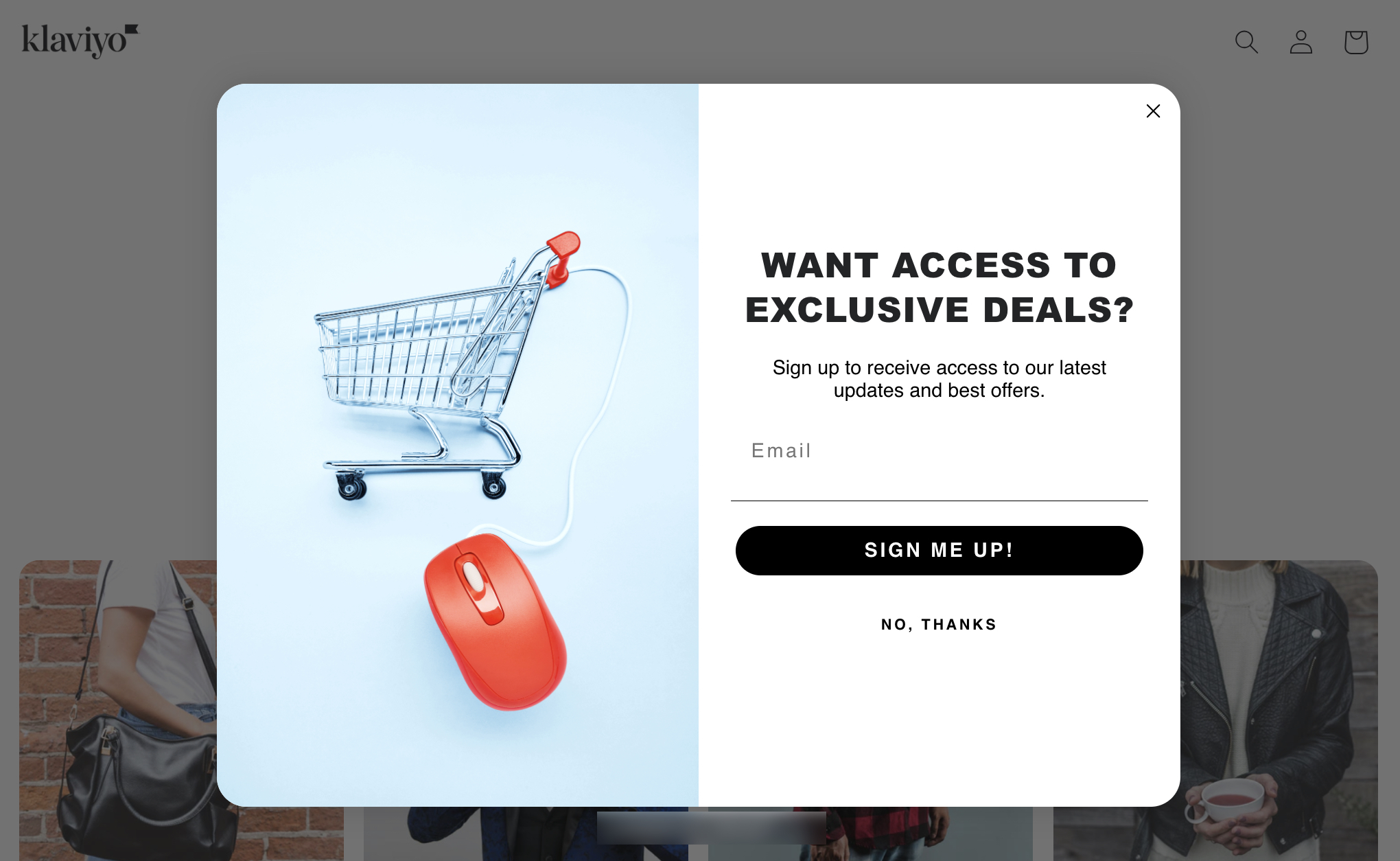 Een voorbeeld pop-upformulier dat op een website wordt gepubliceerd.