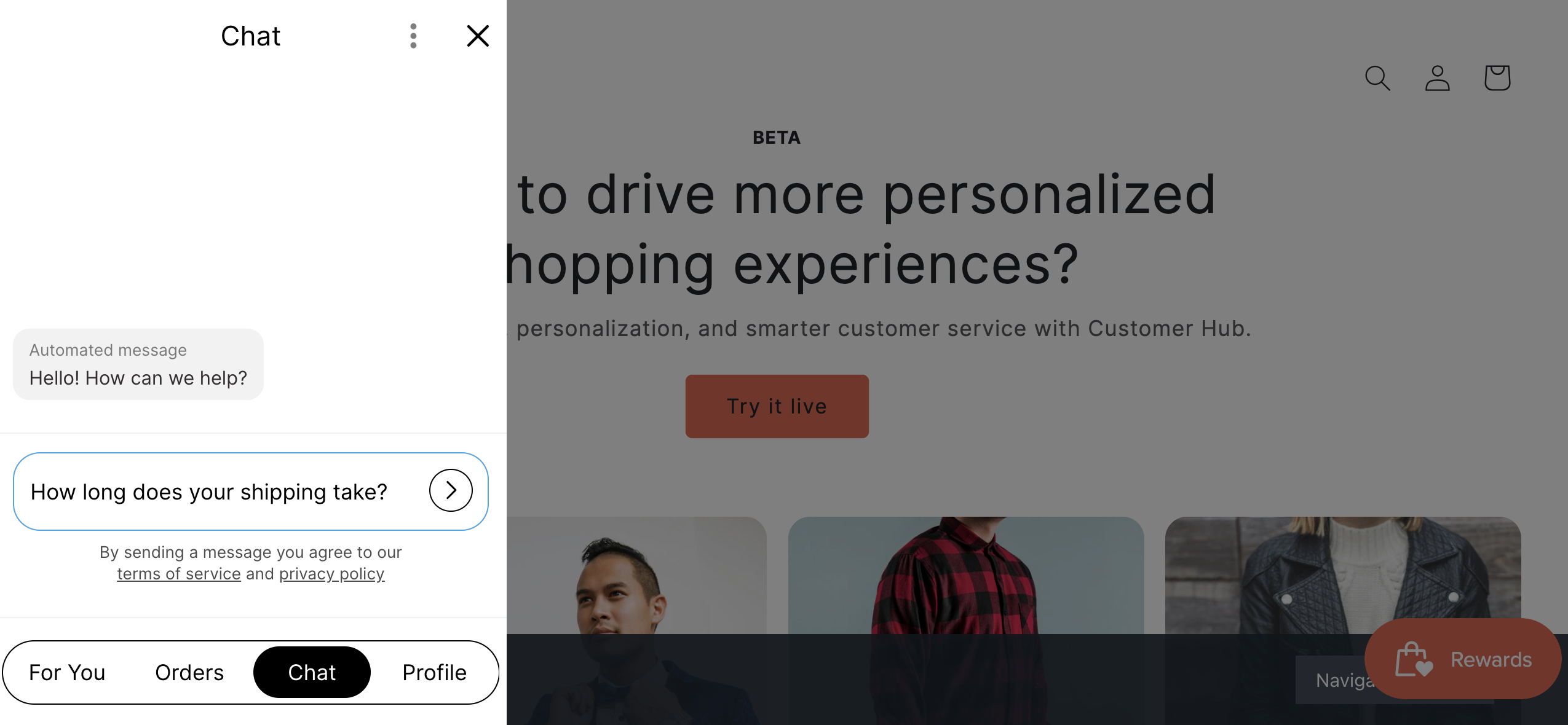 Klaviyo Customer Hub öppen på ett varumärkes webbplats som visar en kund som skickar meddelanden i fliken Webbchatt.