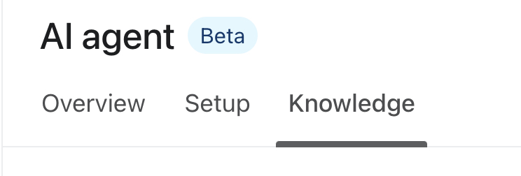 Klaviyo AI Agent Beta navigeringsfält med flikarna Overview, Setup och Knowledge, fliken Knowledge markerad. Bredd