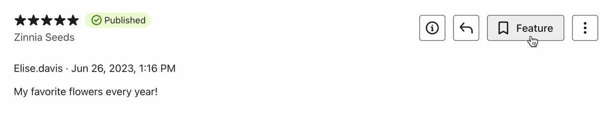 funciones/características reseñas carrusel widget