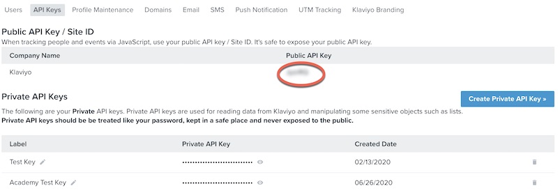 Inside the API Keys page within your settings area, you will have a table displaying your needed API Key