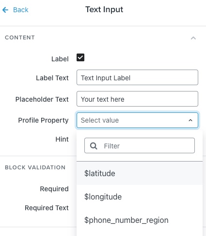 the profile property dropdown menu options from a date field added to the form